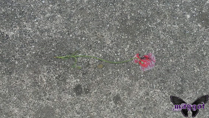 Death is waiting for your heart