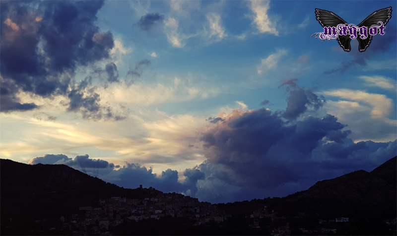 Point of view